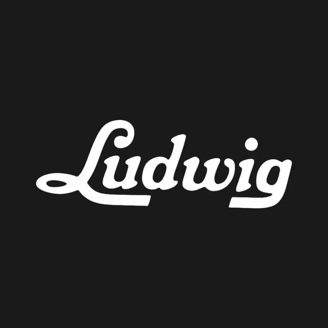 خرید اکانت ludwig