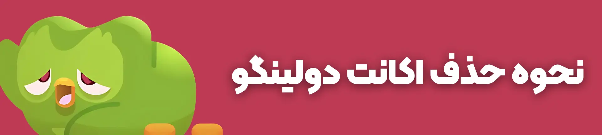هر آنچه بایستی در مورد حذف اکانت دولینگو بدانید