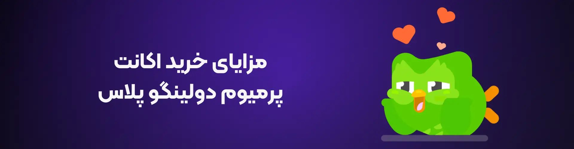 بررسی کامل تمامی مزایای اکانت دولینگو و خرید اشتراک پرمیوم آن