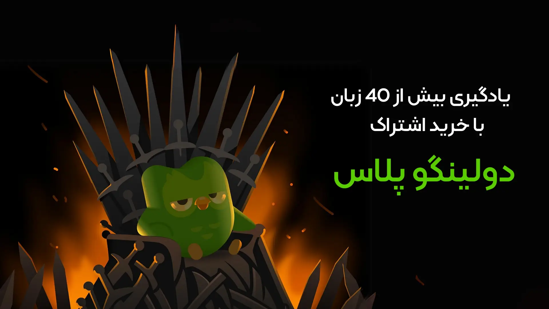 زبان های پشتیبانی شده توسط دولینگو